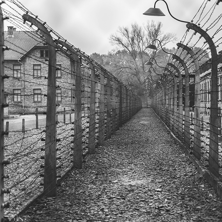 HistoricalAccuracy-img